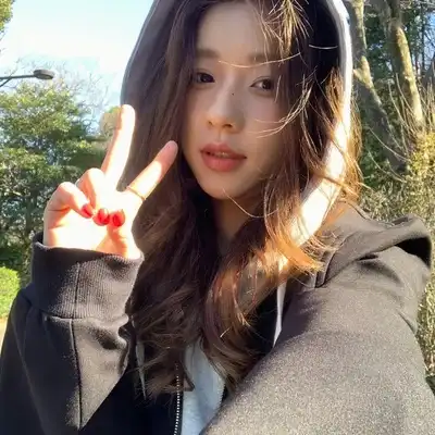 林华鹏